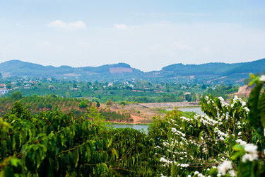 Similar image 1242931