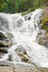 Similar image 1243081