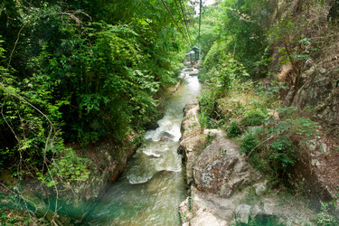 Similar image 1243084