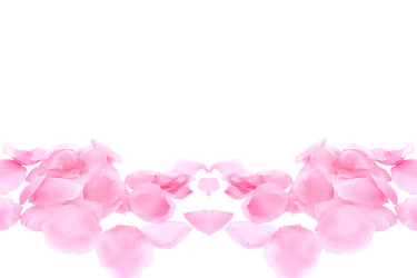 Similar image 1243149