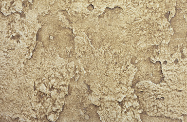 Similar image 1243231