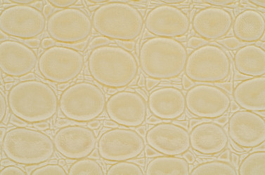 Similar image 1243623