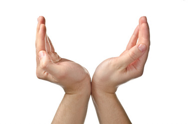 Similar image 1243639