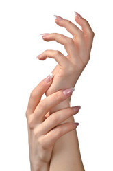 Similar image 1243642