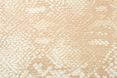 Similar image 1243723