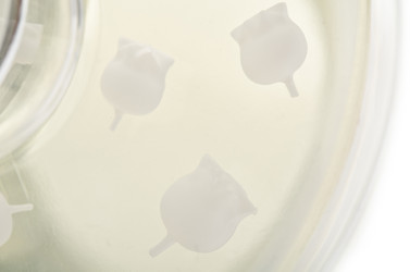 Similar image 1243729