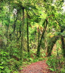 Similar image 1243773