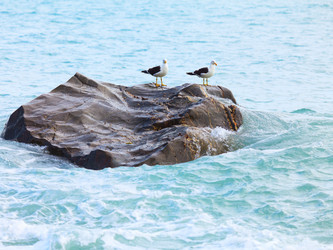 Similar image 1243774