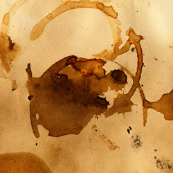 Similar image 1243865