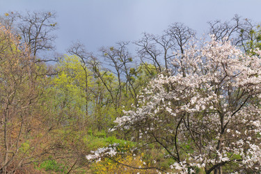 Similar image 1243873