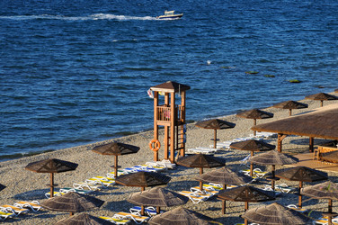 Similar image 1243899