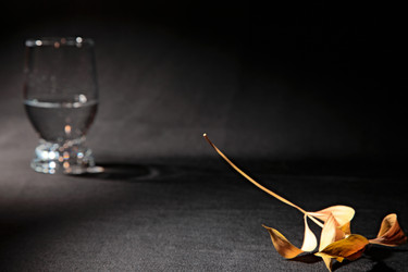 Similar image 1243907