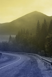 Similar image 1243910