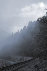 Similar image 1243912