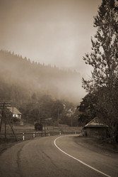 Similar image 1243914