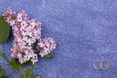 Similar image 1243922