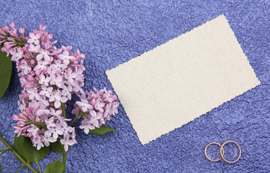 Similar image 1243923