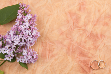 Similar image 1243924