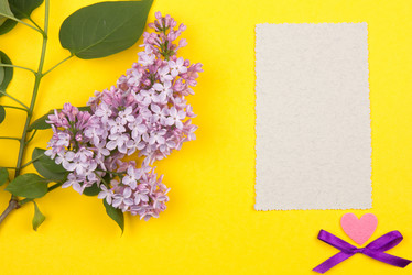 Similar image 1243928