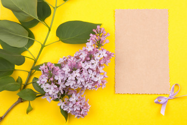 Similar image 1243929