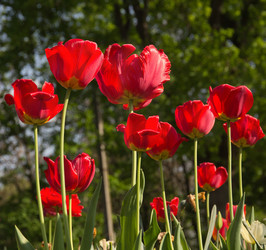 Similar image 1243930