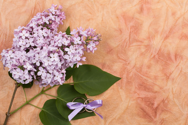 Similar image 1243933