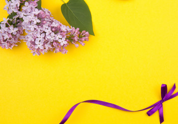 Similar image 1243936