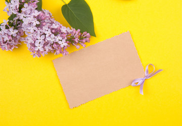 Similar image 1243937