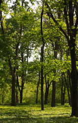 Similar image 1243939