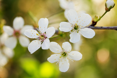 Similar image 1243941