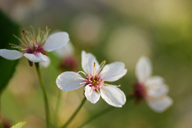 Similar image 1243942