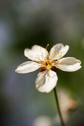 Similar image 1243943