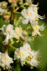 Similar image 1243944