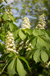 Similar image 1243945