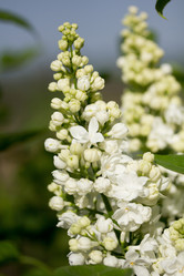 Similar image 1243947