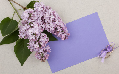 Similar image 1243949