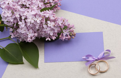 Similar image 1243956