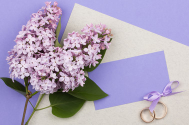 Similar image 1243957