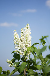 Similar image 1243958