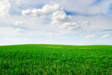 Similar image 1244010