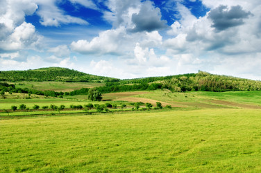 Similar image 1244012