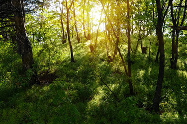 Similar image 1244016