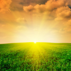 Similar image 1244019