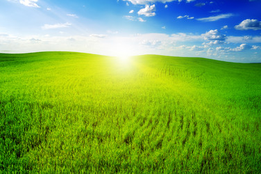 Similar image 1244021