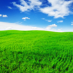 Similar image 1244023