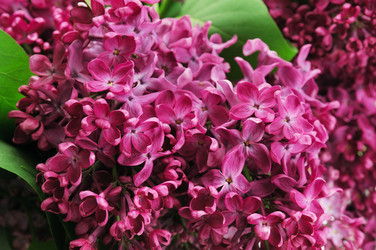 Similar image 1244034