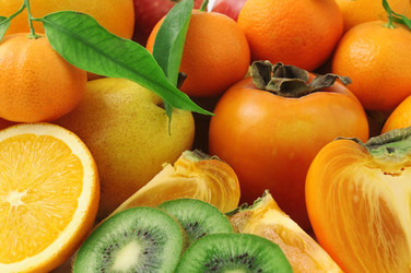 Similar image 1244047