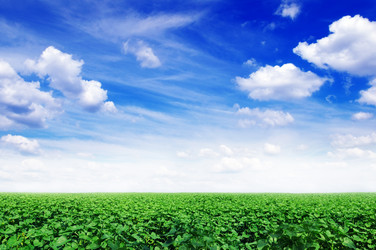 Similar image 1244050