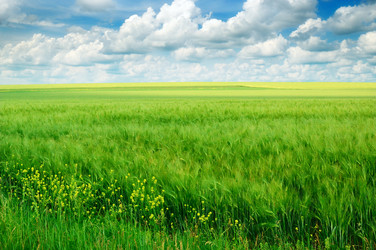 Similar image 1244051