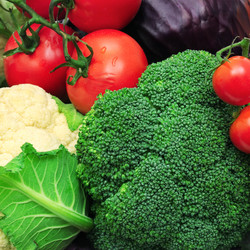 Similar image 1244056